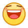 表情[hanxiao]-无尽软件网