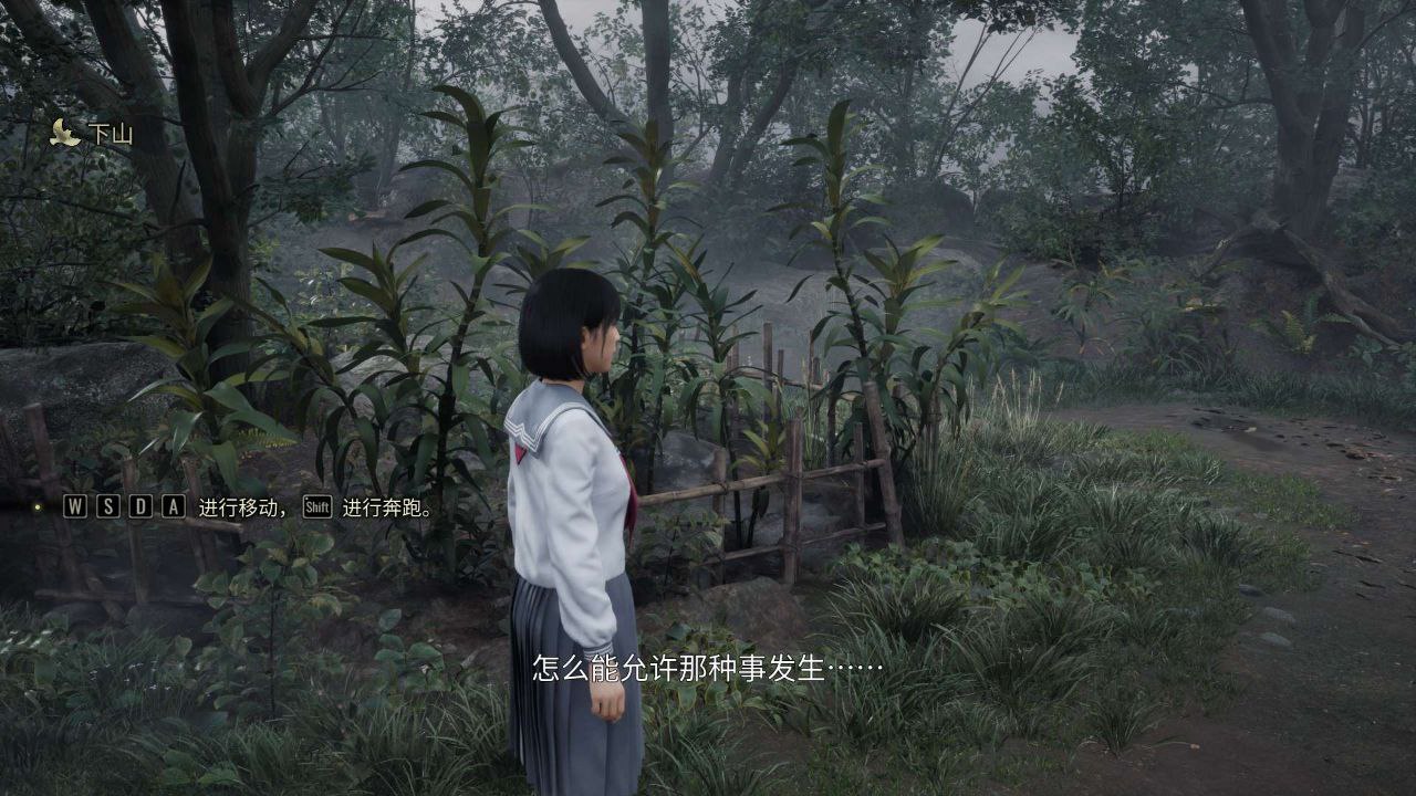 寂静岭f v1.2.382755 全DLC 豪华中文版-无尽软件网